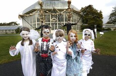 From the Bram Stoker Festival to spooky tours of Dublin - here are some online events to keep you busy this Halloween