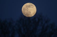 Look out: This evening's rare ‘blue moon’ will be first full moon on Halloween in half century