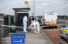 Dublin man found guilty of murder after stabbing homeless man 183 times