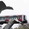 Whale sculpture stops Dutch train plummeting off platform
