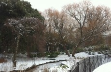 Temperatures could hit -8, warn forecasters
