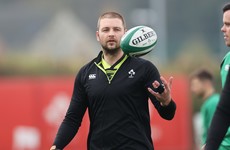 Henderson: Ireland taking confidence from their new beginnings
