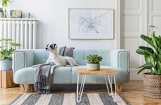 Stylish sofa or designer appliances? Rate your priorities when furnishing a home here