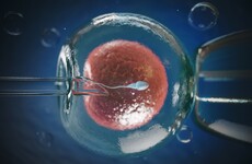'It's a huge source of stress': Women going abroad for IVF hit out at mixed messages over travel restrictions
