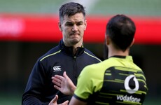 Does Johnny Sexton need more support in his role as Ireland captain?