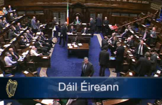 VIDEO: Rowdy scenes - but no disagreement - as Dáil votes for eight-week break