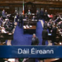 VIDEO: Rowdy scenes - but no disagreement - as Dáil votes for eight-week break
