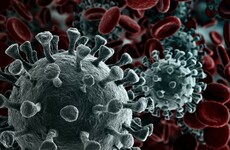 Coronavirus: Vaccine from US company Moderna 94.5% effective, according to early data