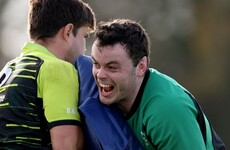 O'Connell and Sexton provide role models as Ryan takes on Ireland captaincy
