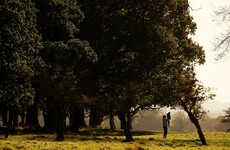 Poll: Are you getting outside every day?