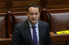 Leo Varadkar 'didn't know the names' of the other people interested in Seamus Woulfe role