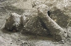 Remains of ‘man and his slave’ fleeing Vesuvius eruption unearthed at Pompeii