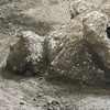 Remains of ‘man and his slave’ fleeing Vesuvius eruption unearthed at Pompeii