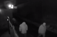 Footage of suspects in shooting of sleeping 61-year-old woman released by police