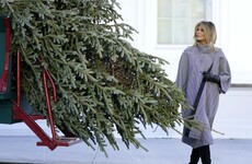 White House presses on with Christmas tree ceremony despite coronavirus warnings