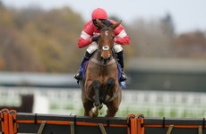 Laurina retired following Ascot disappointment
