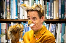 A Toy Show like no other: Tubridy says no studio audience means he may need to 'dial up the energy'