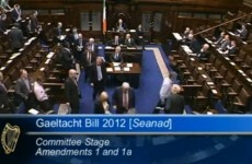 Three-minute explainer: What's the story with the Gaeltacht Bill?