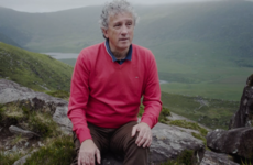The Den's Christmas Special and Fungie's disappearance - Highlights from RTÉ's festive schedule