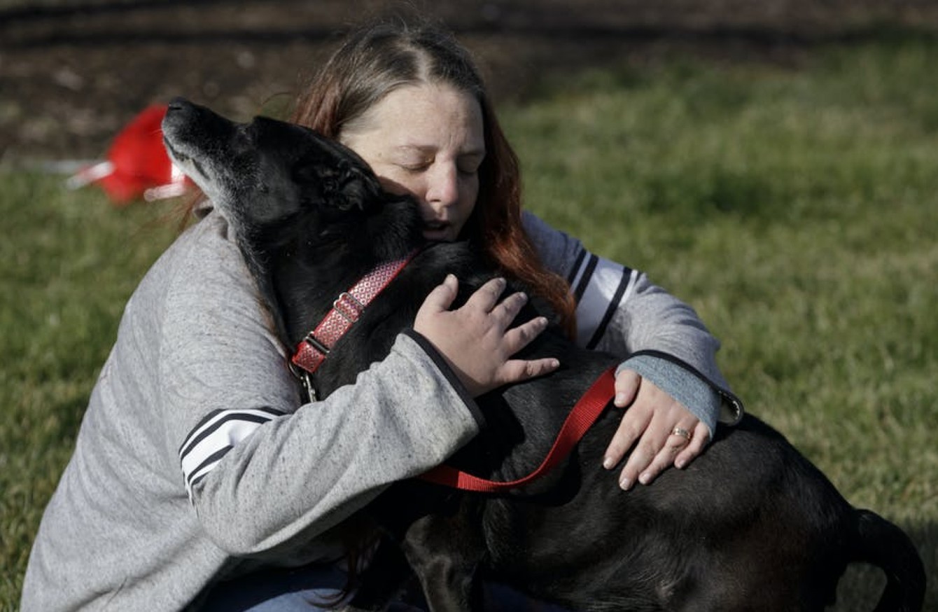 dog-reunited-with-owners-after-going-missing-for-over-three-years