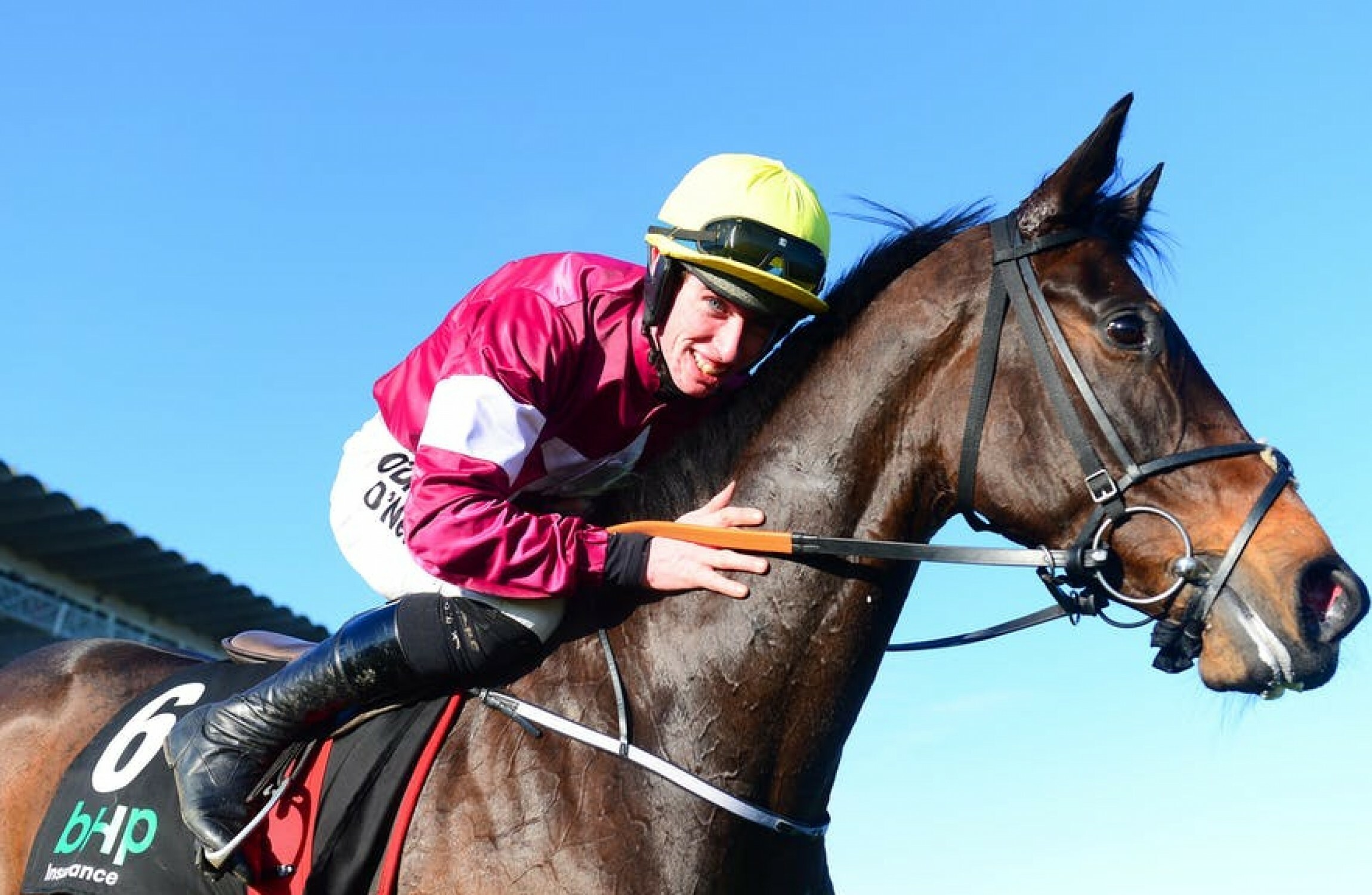 Elliott buys Grade One star Apple's Jade for Bective Stud · The42 - Vimarsana News