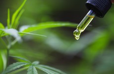 Permanent medical cannabis delivery service to be established for Irish patients