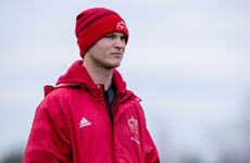 Former Munster out-half Bleyendaal returns to New Zealand to join Hurricanes coaching team