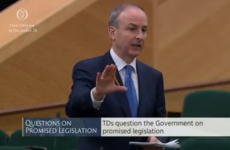 FactCheck: Was Micheál Martin right to say that the banks were not bailed out in 2008?