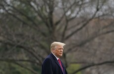 Trump's Twitter account was hacked in October, Dutch prosecutors claim despite denials from Washington