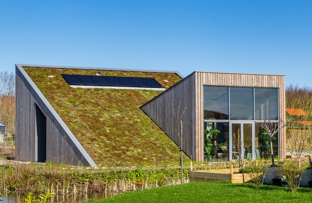Teenagers referred to as on to design ‘home for everyone’ in building competition