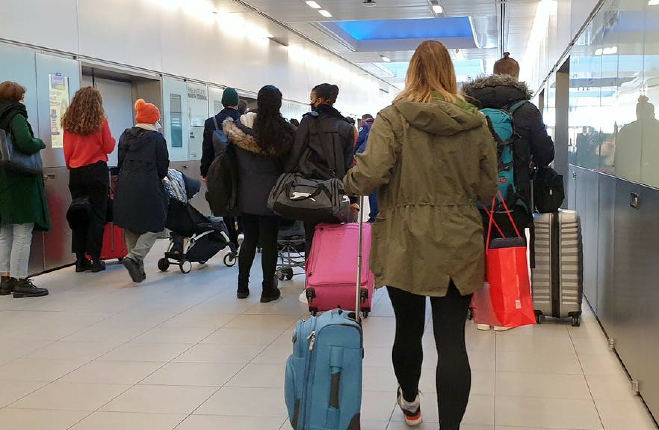 Flights from UK to Ireland suspended as Johnson holds crisis talks over freight concerns - Vimarsana News
