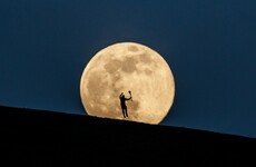 The secrets and stories behind the sports photographs of the year