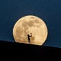 The secrets and stories behind the sports photographs of the year