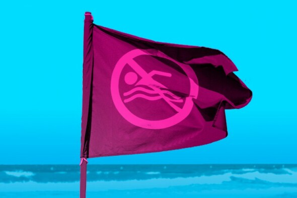 Swimming was banned at bathing spots across Ireland for over 350 days this year - Vimarsana News