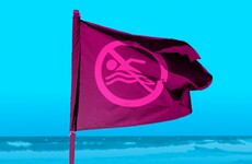 Swimming was banned at bathing spots across Ireland for over 350 days this year