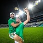 Open Thread: Do you agree with our 2020 All-Star hurling team?