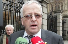 Vegan society attacks Mattie McGrath for 'cannibalism' comments