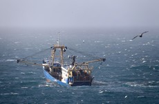 'We won't accept this': Post-Brexit trade agreement disappoints Irish fishing industry