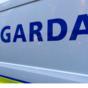 Man shot dead by gardaí in Clonee named locally as George Nkencho