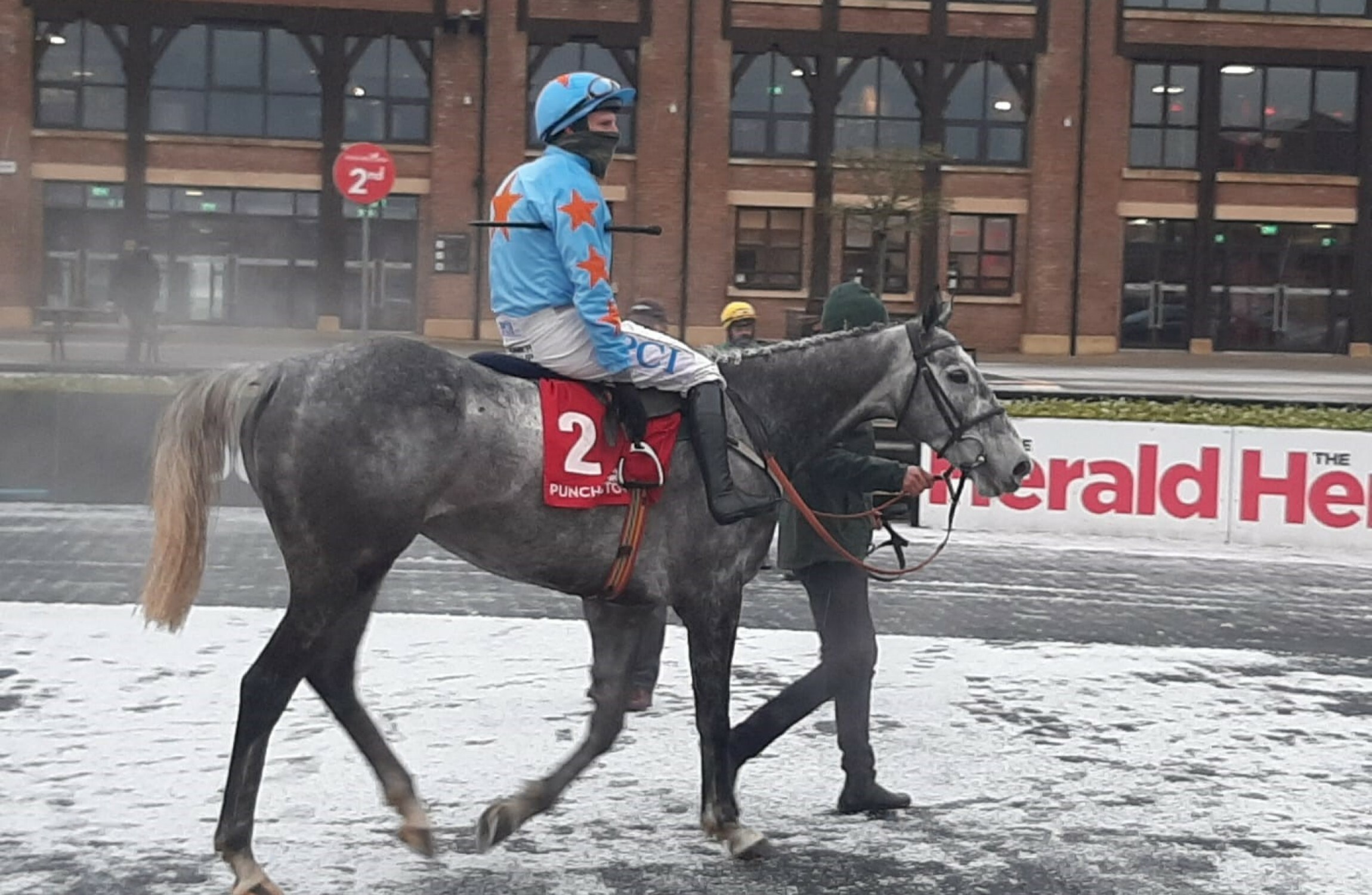 Bachasson lands Punchestown double to cap Willie Mullins' sensational Christmas - Vimarsana News