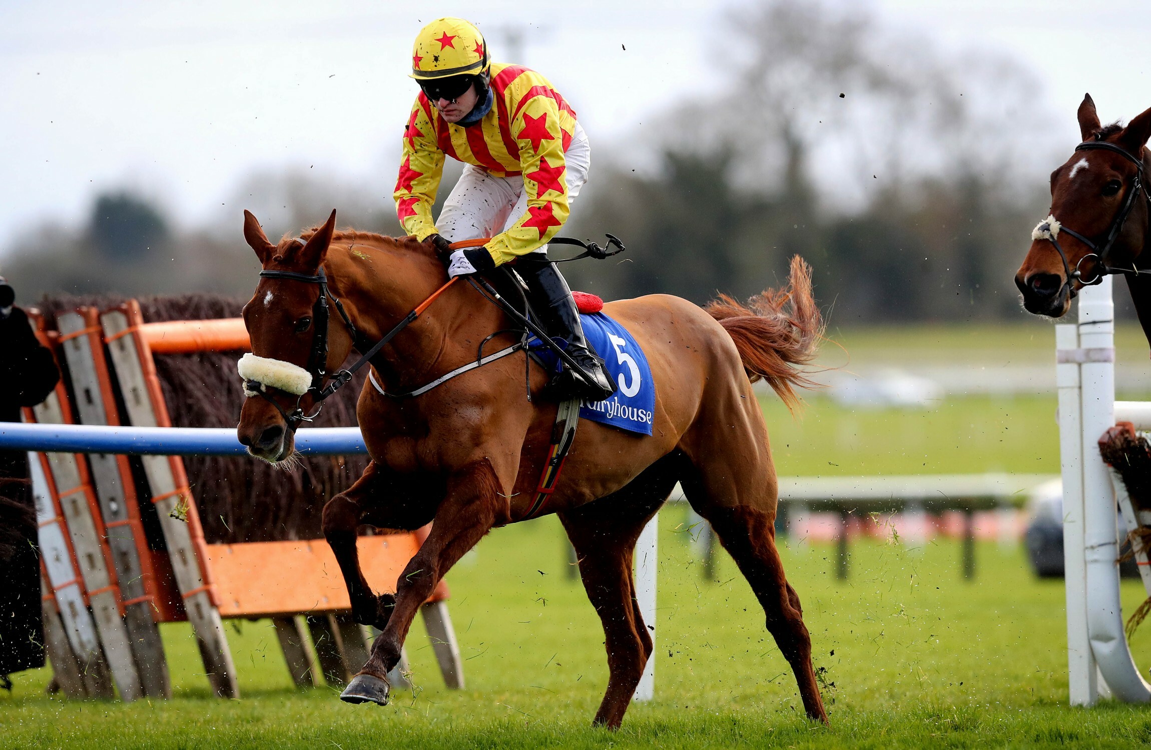 Hat-trick hero Royal Kahala impresses at Fairyhouse once again - Vimarsana News