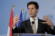 Irish bailout could sink delicate Dutch ruling coalition