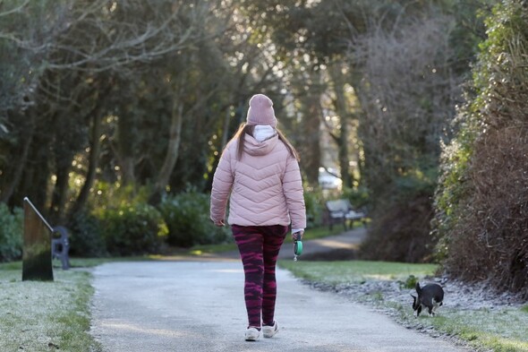 More frost this morning and temperatures of up to -8 degrees due tonight - Vimarsana News
