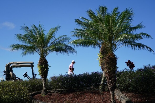 Thomas shares early lead at Tournament of Champions in Hawaii - Vimarsana News