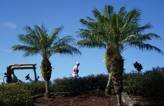 Thomas shares early lead at Tournament of Champions in Hawaii