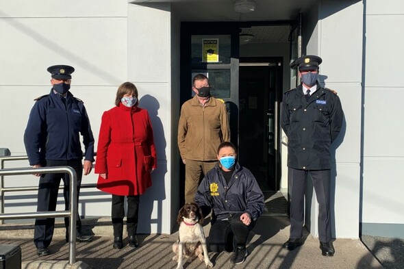 Stolen dog found in UK returned to family in Cork - Vimarsana News