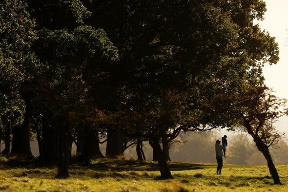 Proposals put forward to reduce traffic volume through Phoenix Park - Vimarsana News