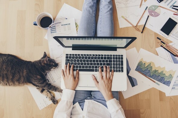 Poll: Would you live somewhere else if you had the option to work from home permanently? - Vimarsana News