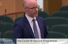 Every resident in Ireland will be offered the vaccine before September, says health minister