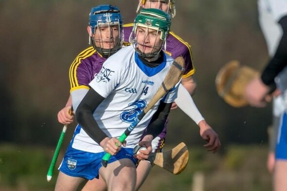 Funds being raised for dual Waterford minor that suffered spinal injury in crash - Vimarsana News